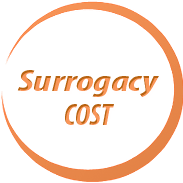 SURROGACY COSTS